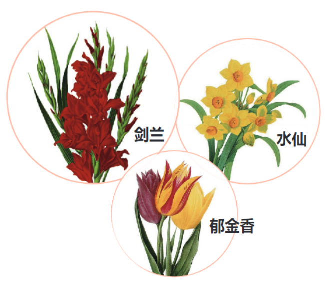 5. 供奉菩薩须知 | 供花(图2)